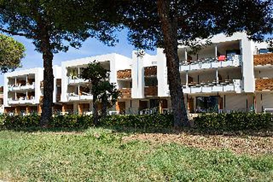 photo-3