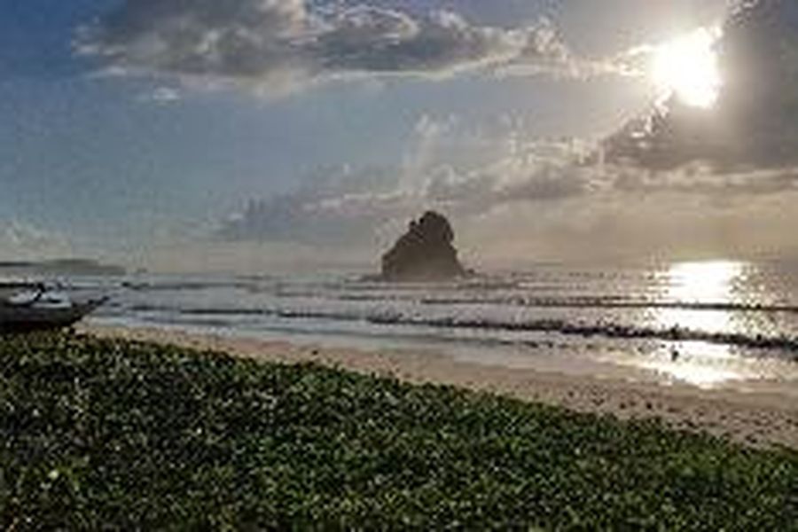 photo-1