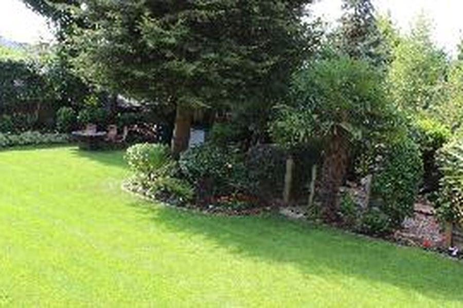 photo-3
