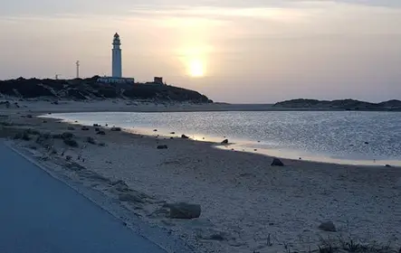 Cádiz y Jerez de la Frontera: excursión de un día desde Sevilla