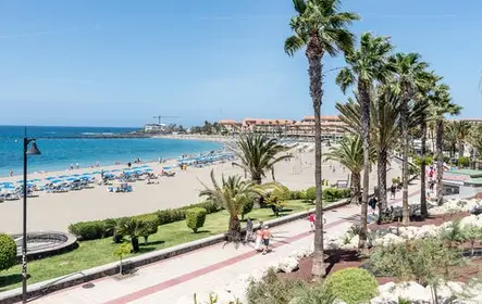 Traslado Tenerife Sur