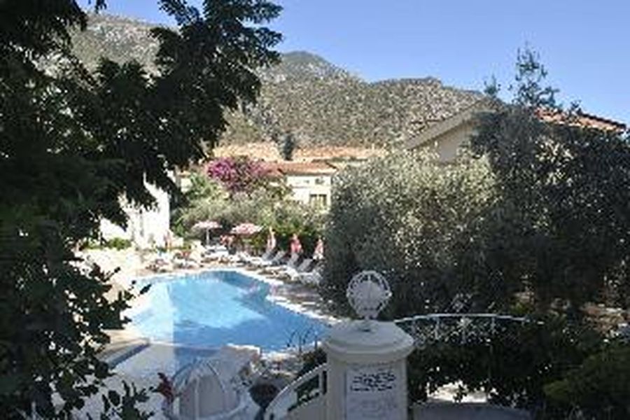 photo-1