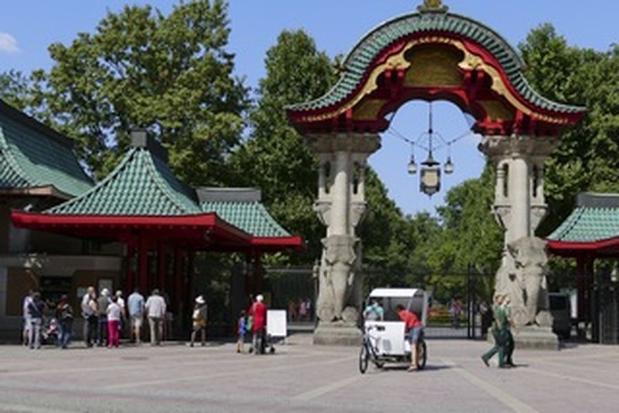 foto-1