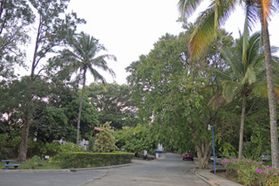 photo-2