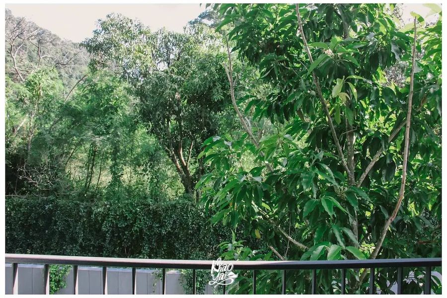 foto-3