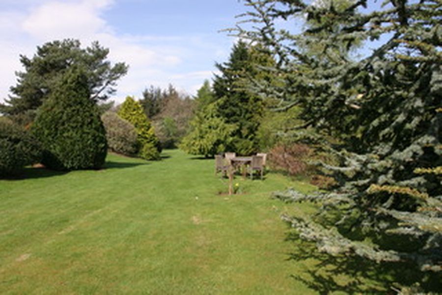 foto-1
