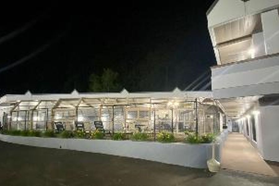 photo-2