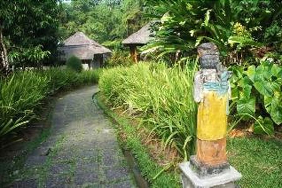 foto-1