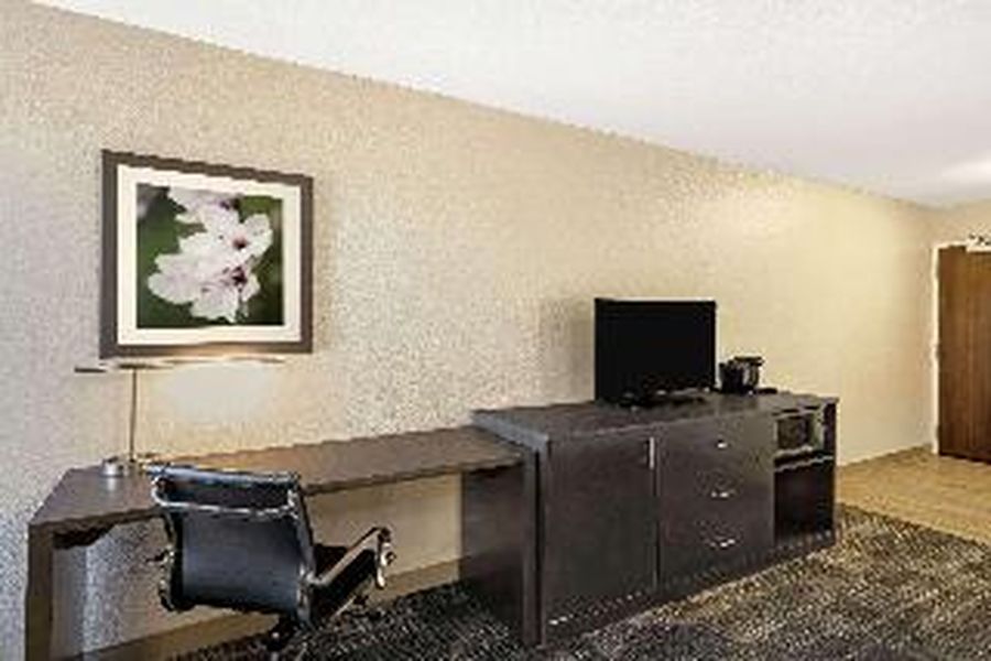 photo-2
