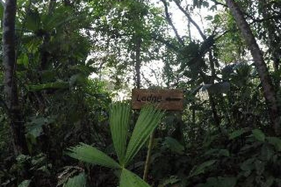 foto-1