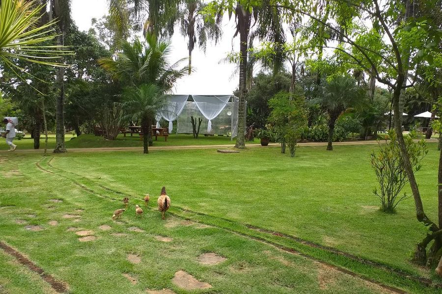 foto-1