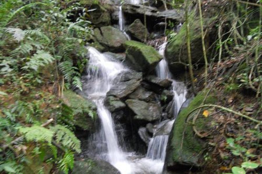 foto-3
