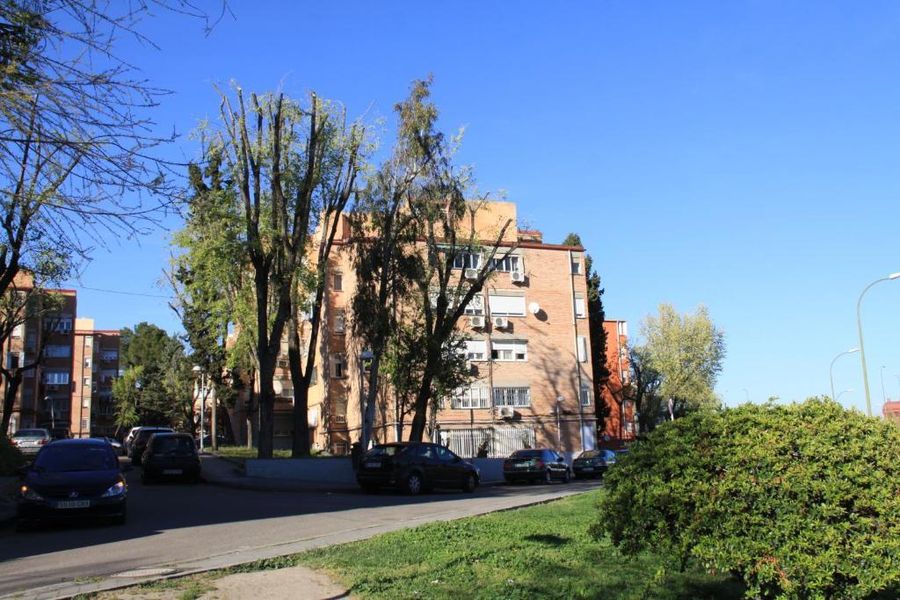 photo-0
