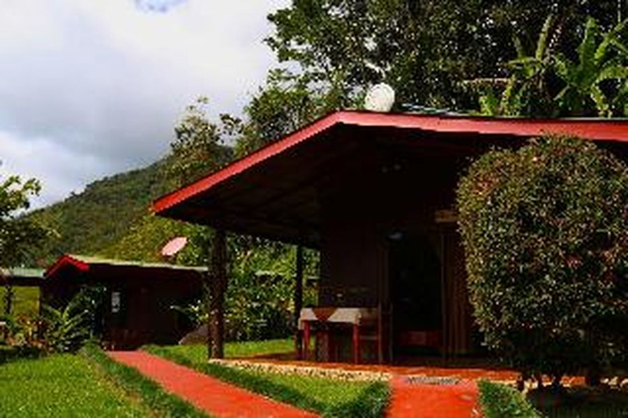 photo-0